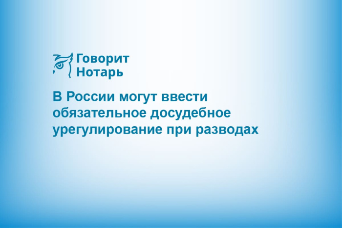 В России могут ввести обязательное досудебное урегулирование при разводах